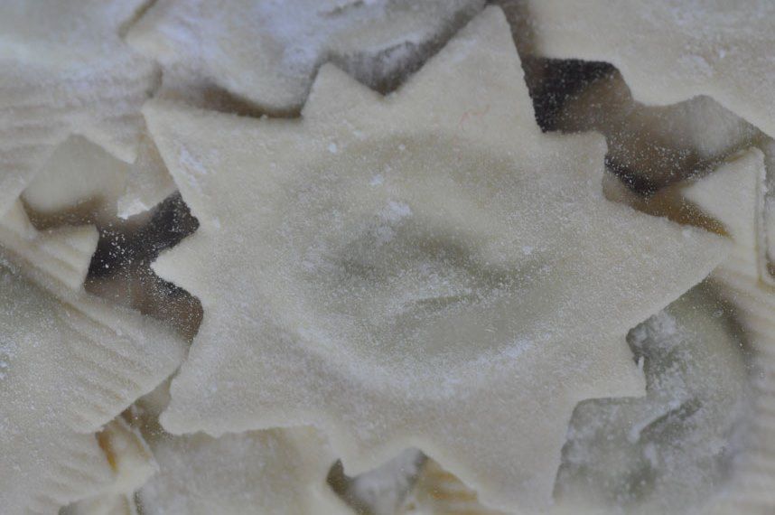 Edelweiss mit Alpenkräutern
